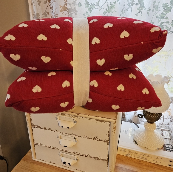 Bella Lux Homegoods TJMaxx set of two large plush Valentine's Day pillows - Picture 2 of 3